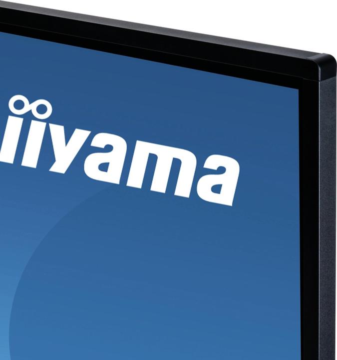 Produktbild iiyama ProLite TE5503MIS-B1AG (3840 x 2160 Pixel, 54.65")