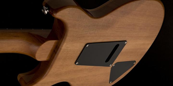 Image du produit PRS SE Santana (Guitare électrique, Palissandre, acajou, érable)
