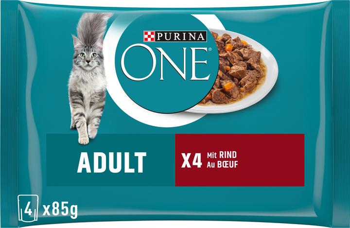 Purina ONE Adulte