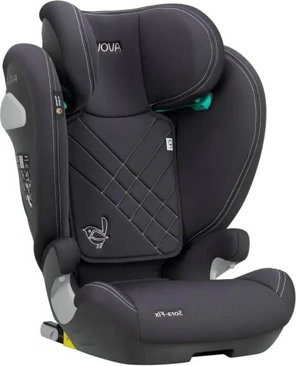 Grigio koala