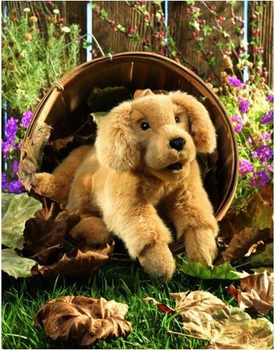 Actual product image Folkmanis Golden retriever baby