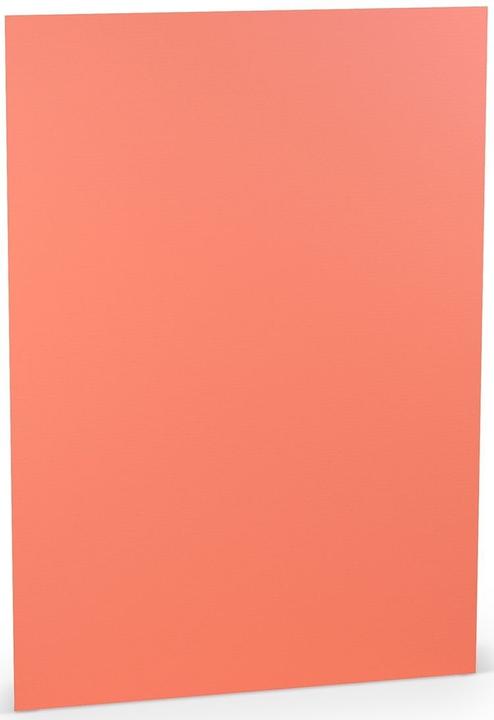Image du produit Paperado Papier à lettres A4 100g/qm VE=10 feuilles Coral (10 pcs)