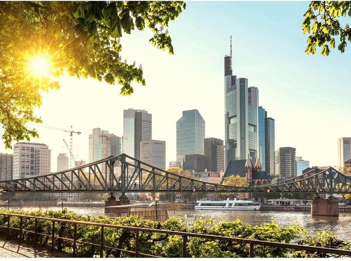 Actual product image Livingwalls Designwalls Frankfurt City City (350 x 255 cm)