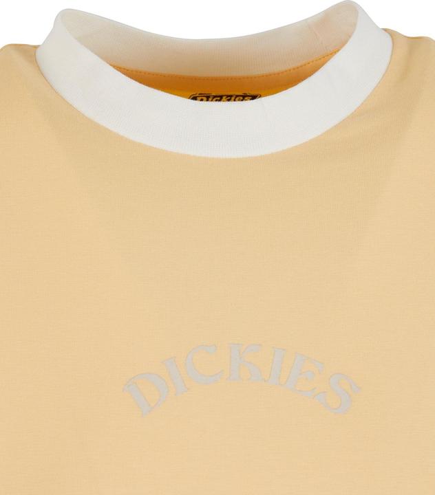Produktbild Dickies Warm Springs T-Shirt - 125477 (S)
