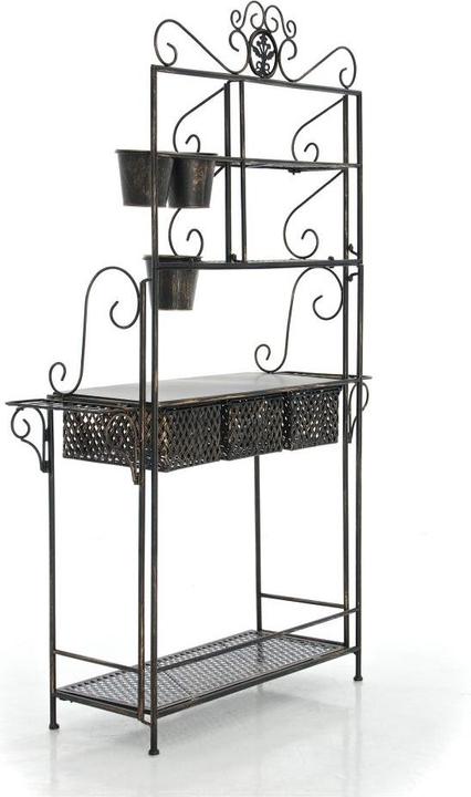 Produktbild Swisshandel24 XL Pflanzregal Shine, bronze