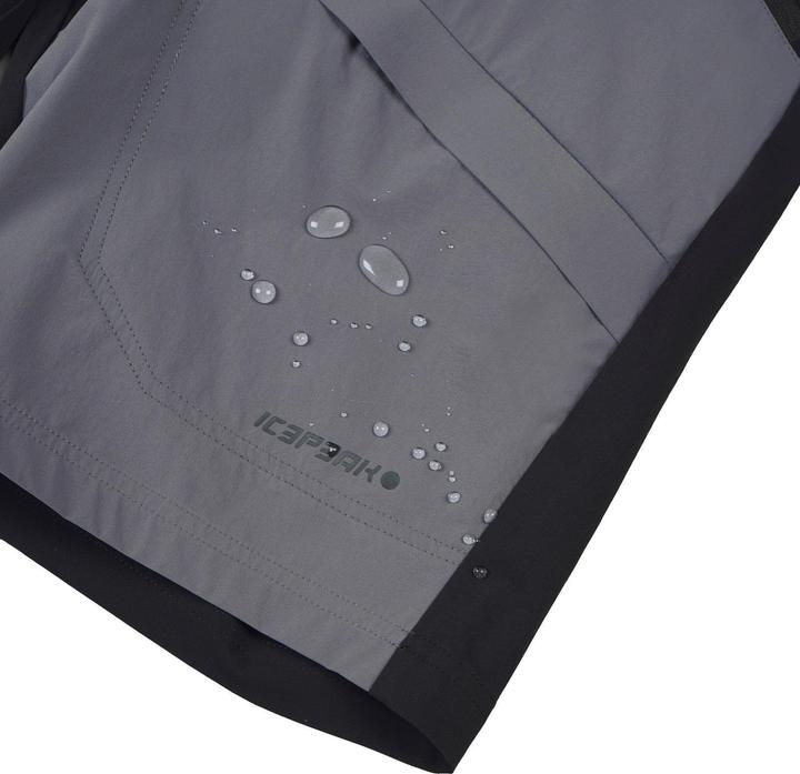 Image du produit Icepeak Delphos (58)