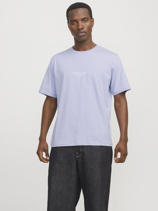 Immagine prodotto Jack & Jones Jorvesterbro Tee Ss Crew Neck Noos (XXL)
