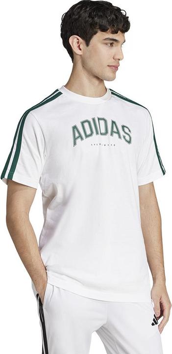 Produktbild adidas M C Colleg Tee (L)