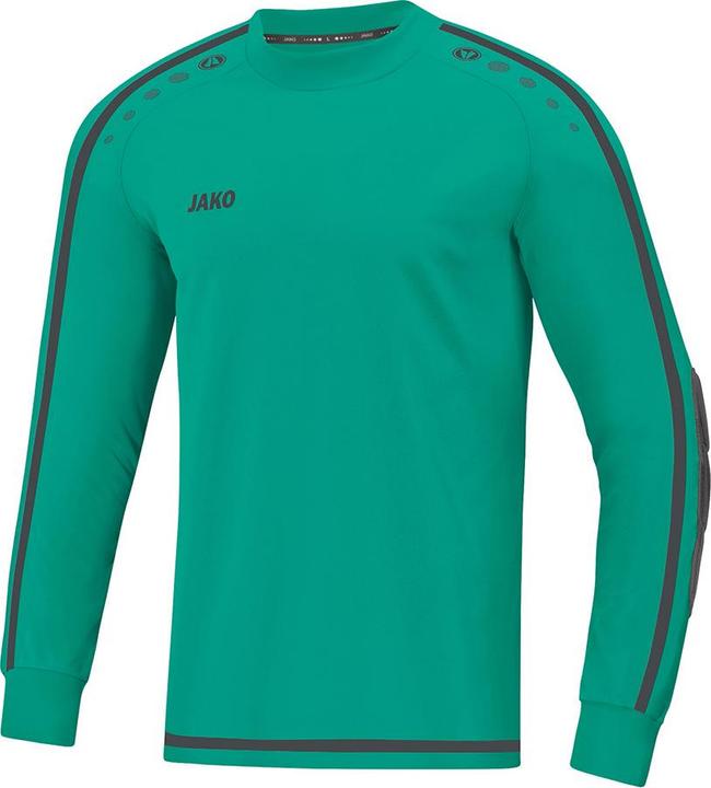 Immagine prodotto JAKO TW JERSEY STRIKER 2.0 (152)