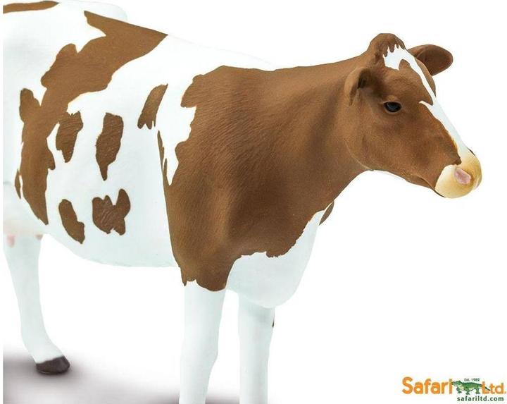 Actual product image Safari Ayrshire beef