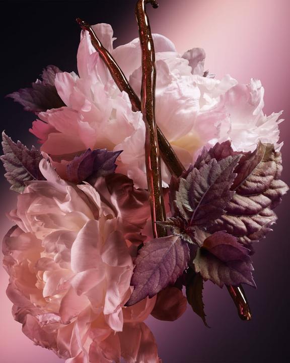 Produktbild Carolina Herrera Blush Elixir (Eau de Parfum, 30 ml)