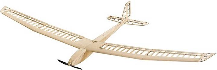Pichler AION Segler / 2500 mm Holzbausatz (Segelflugzeug)