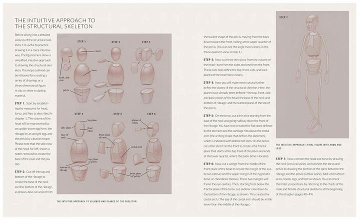 Immagine prodotto Anatomia umana di base (Inglese, Roberto Osti, 2016)