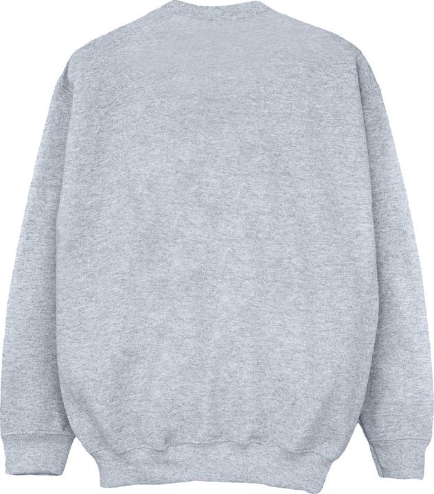 Produktbild Disney The Lion King Group Sweatshirt Mädchen (152, 158)