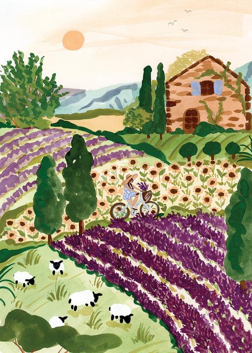 Actual product image Pieces & Peace Puzzle 2000 pieces Provence (2000 pieces)