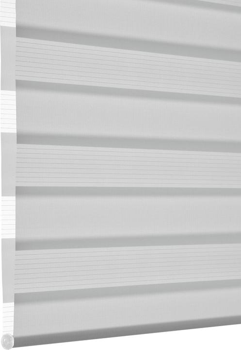 Produktbild Deco Company Doppelrollo (60 x 150 cm)