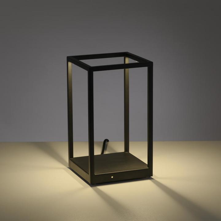 Actual product image Paul Neuhaus Contura (140 lm)