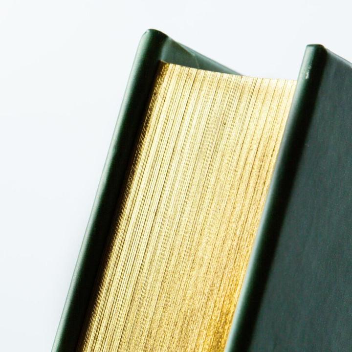 Actual product image Disney: Das grosse goldene Buch der Tiergeschichten (German, Walt Disney, 2022)