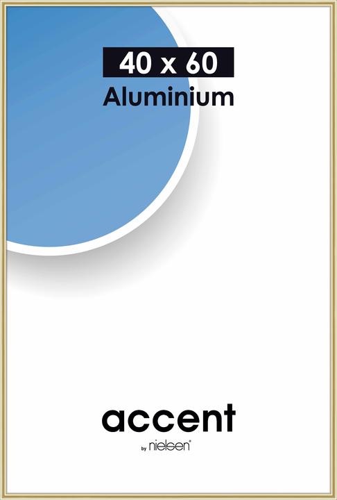 Image du produit Nielsen Accent (40 x 60 cm)
