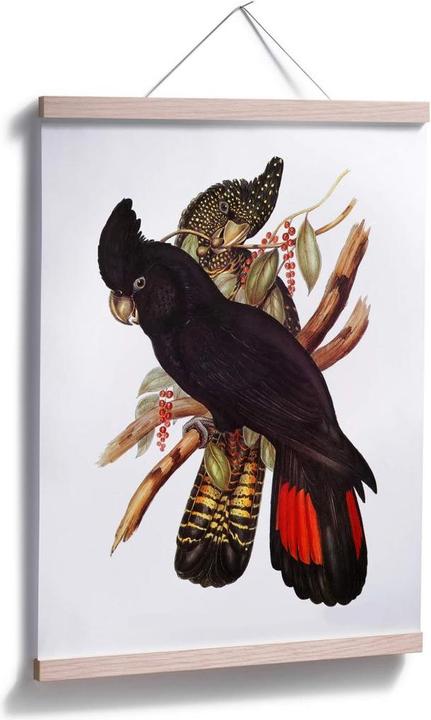 Image du produit Trenddeko Cacatoès noir (24 x 30 cm)