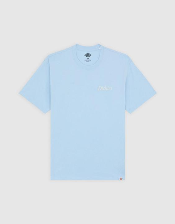 Immagine prodotto Dickies Companion Script Ss Tee Skyway (L)
