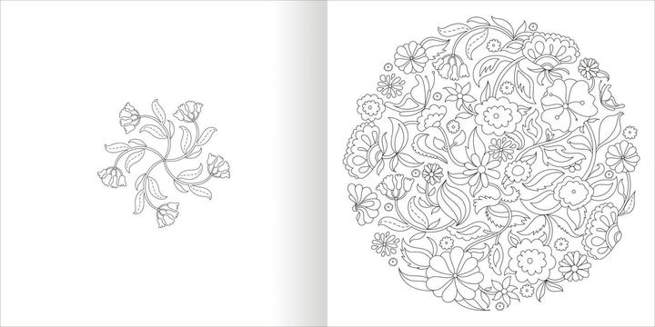 Actual product image Mandala magic - The seasons