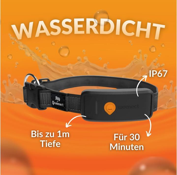 Produktbild Weenect GPS-Tracker für Hunde (XL, Hund, Hundesport)
