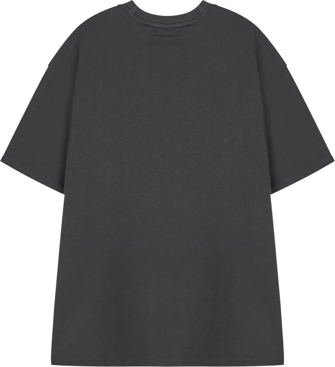 Actual product image Disney Unisex Adult Short-Sleeved T-Shirt (XXL)