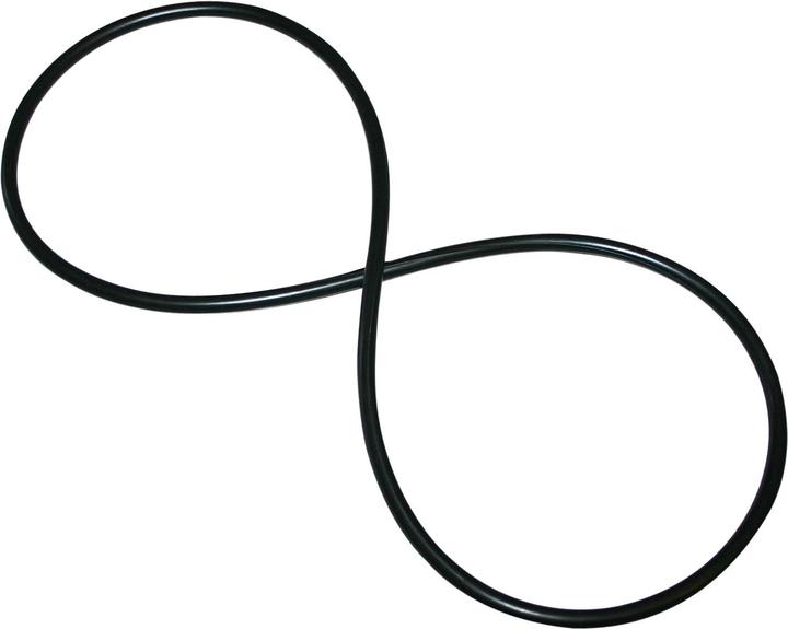 Actual product image SunSun Spare Part HW-302 Head-Gasket Lid 6mm Thickness Ø 215mm External Filter