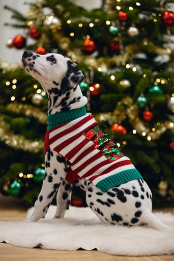 Actual product image Beeztees Hohoho (M, Dog jumper)