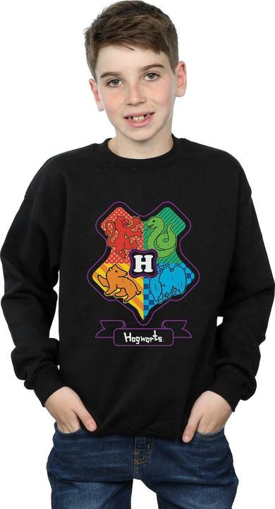 Actual product image Boys Hogwarts Junior Crest Sweatshirt (152, 158)