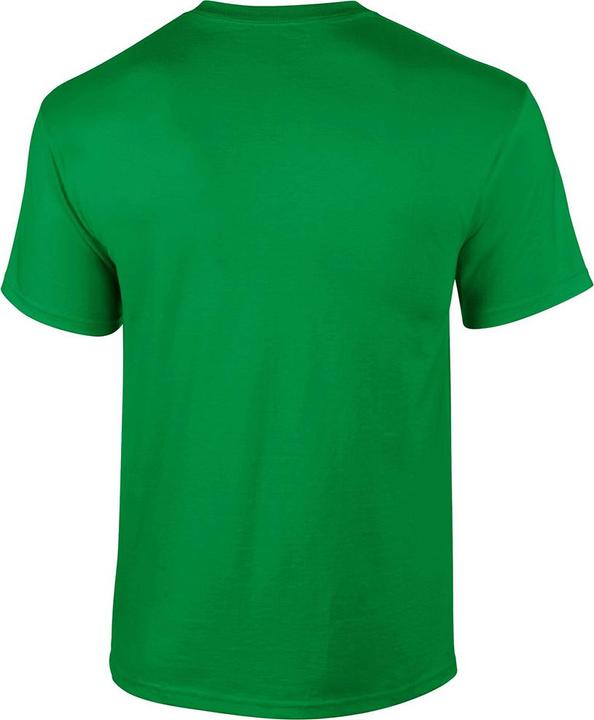 Actual product image Gildan Mens Short Sleeve Soft-Style T-Shirt (XXL)