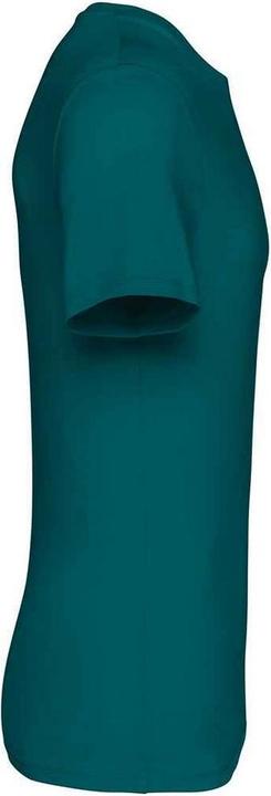 Immagine prodotto Native Spirit Maglietta unisex adulto Heavyweight Slim (4XL)