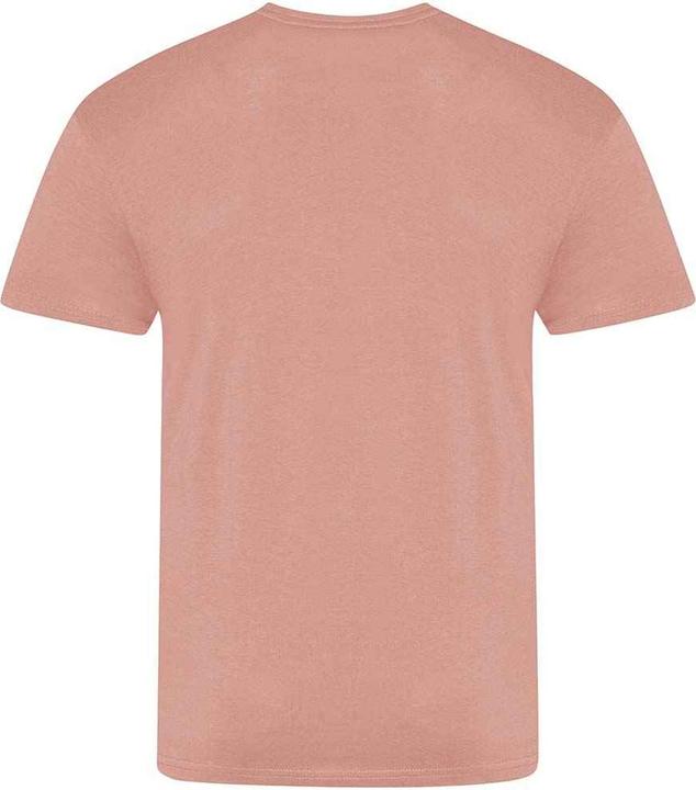Produktbild Awdis The 100 Tshirt (S)