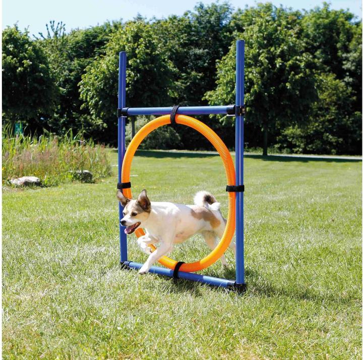 Image du produit Trixie Anneau d'agilité pour l'activité des chiens (Agility)