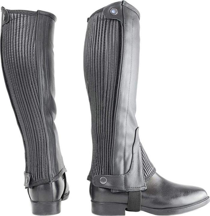 Image du produit Hy Land Demi-chaps en cuir adultes (L)