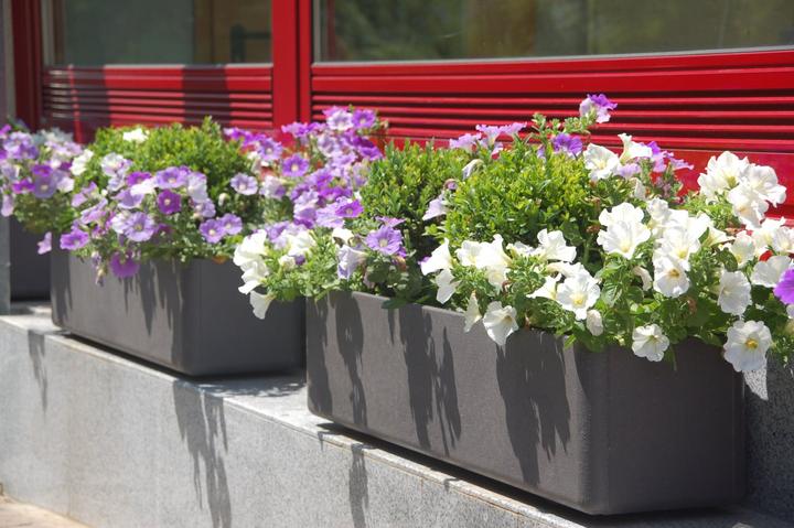 Produktbild Eternit Balconia (17 cm)