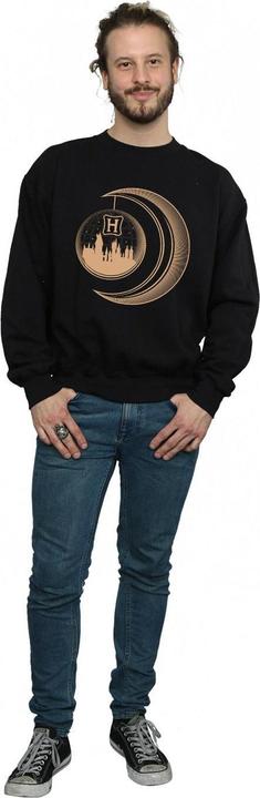 Image du produit - Sweat HOGWARTS MOON - Homme (S)