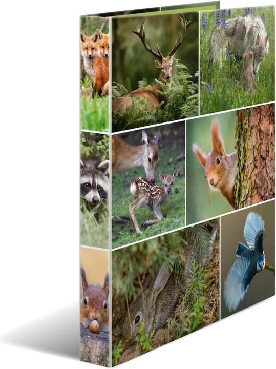 Actual product image Herma A4 ring binder motif (A4, 35 mm, 1 Piece)