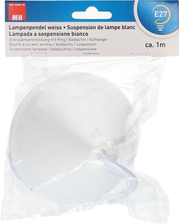 Produktbild Max Hauri Lampenpendel E27