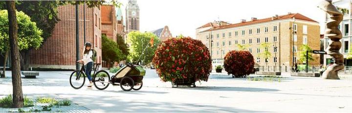 Produktbild Thule Chariot Cab 2