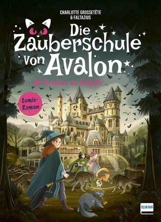 Produktbild Die Zauberschule von Avalon – Avalon in Gefahr (Deutsch, Faltazius, Anja Hackländer, Charlotte Grossetête, Ullmann Medien, 2024)