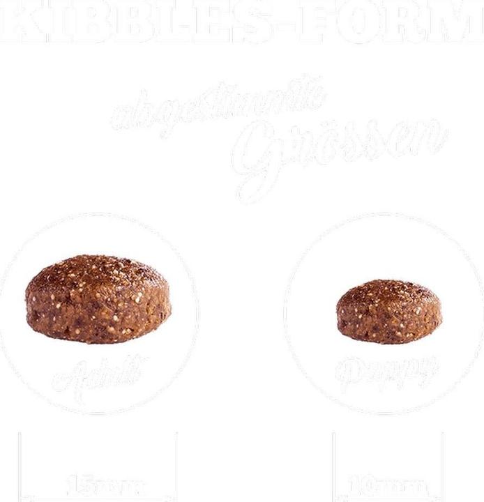 Actual product image The Goodstuff Salmon (Junior, 1 pcs., 12500 g)