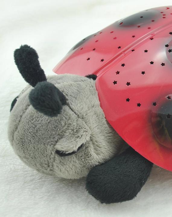 Immagine prodotto Cloud B Coccinella crepuscolare classica
