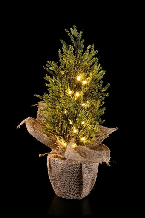 Actual product image STT Nordic Tree