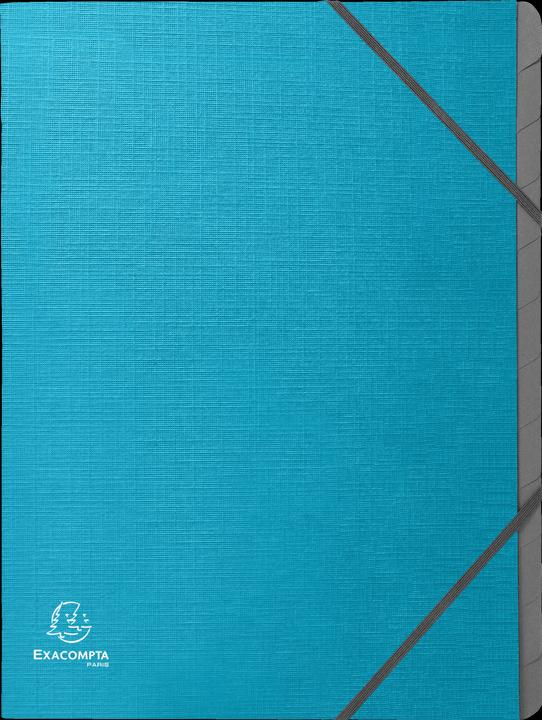 Exacompta Ordnungsmappe Teksto (A4, 200 x)