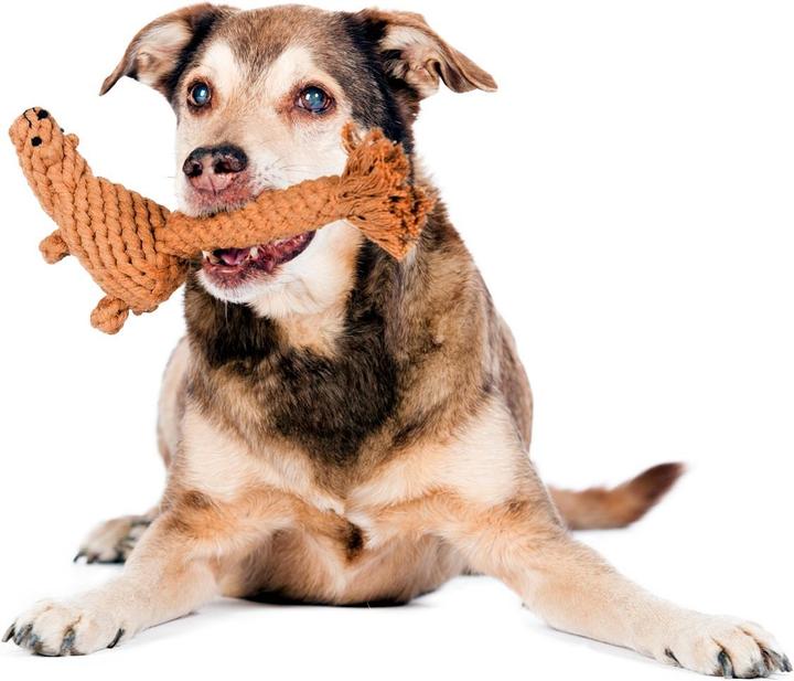 Produktbild Laboni Eddie Eichhorn (Apportieren, Kauspielzeug Hund, Wurfspielzeug Hund)