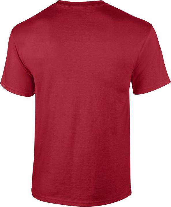 Actual product image Gildan Mens Ultra Cotton T-Shirt (XL)