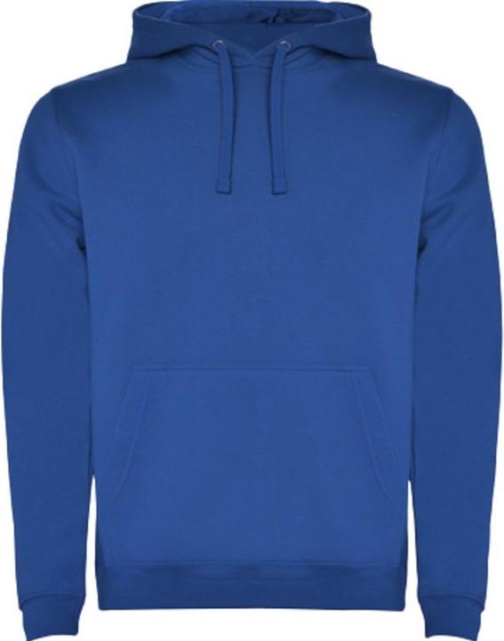 Bleu roi