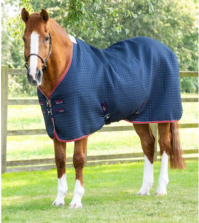 Immagine prodotto Premier Equine Walker 0 g (183 cm)